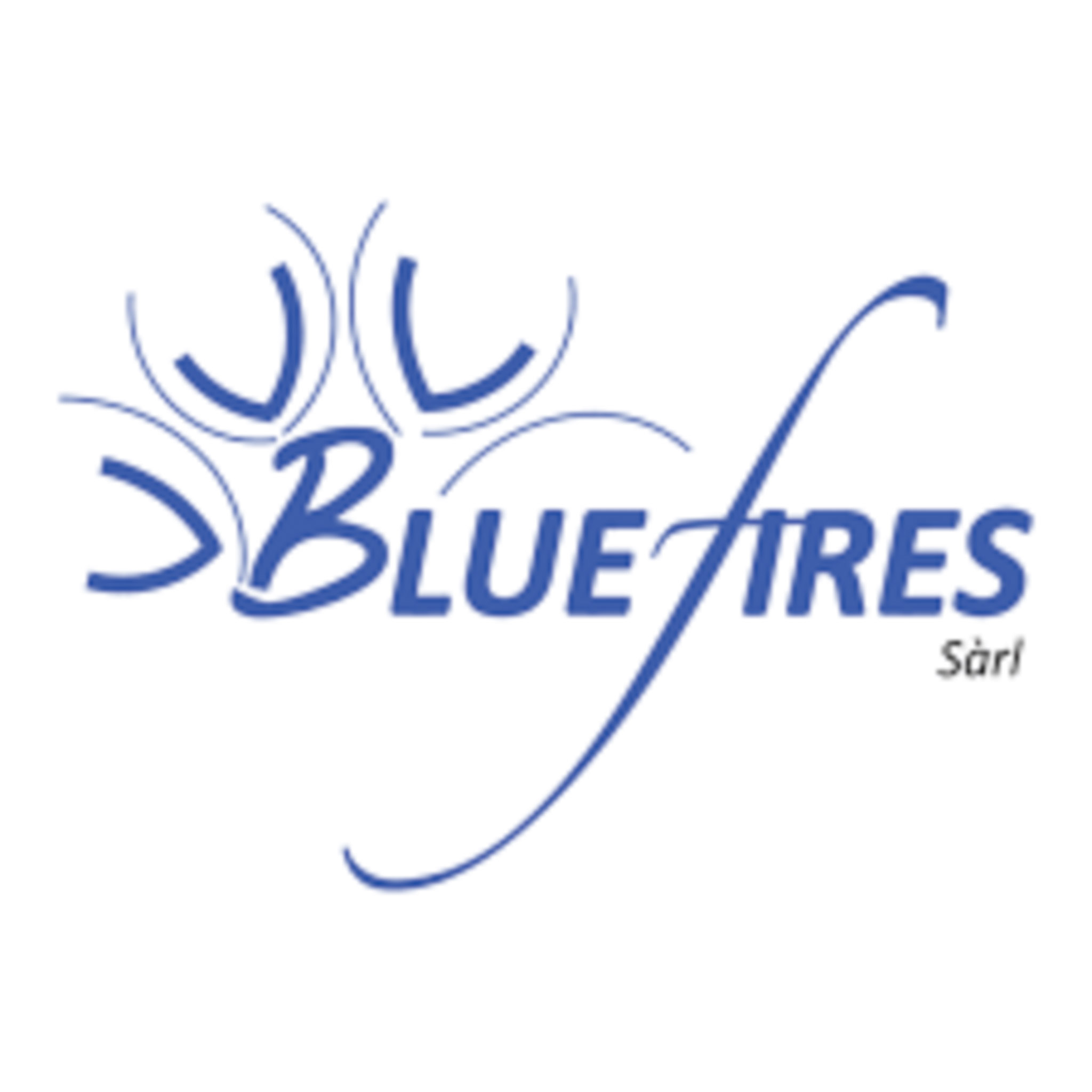 logo sponsor argent Bluefires