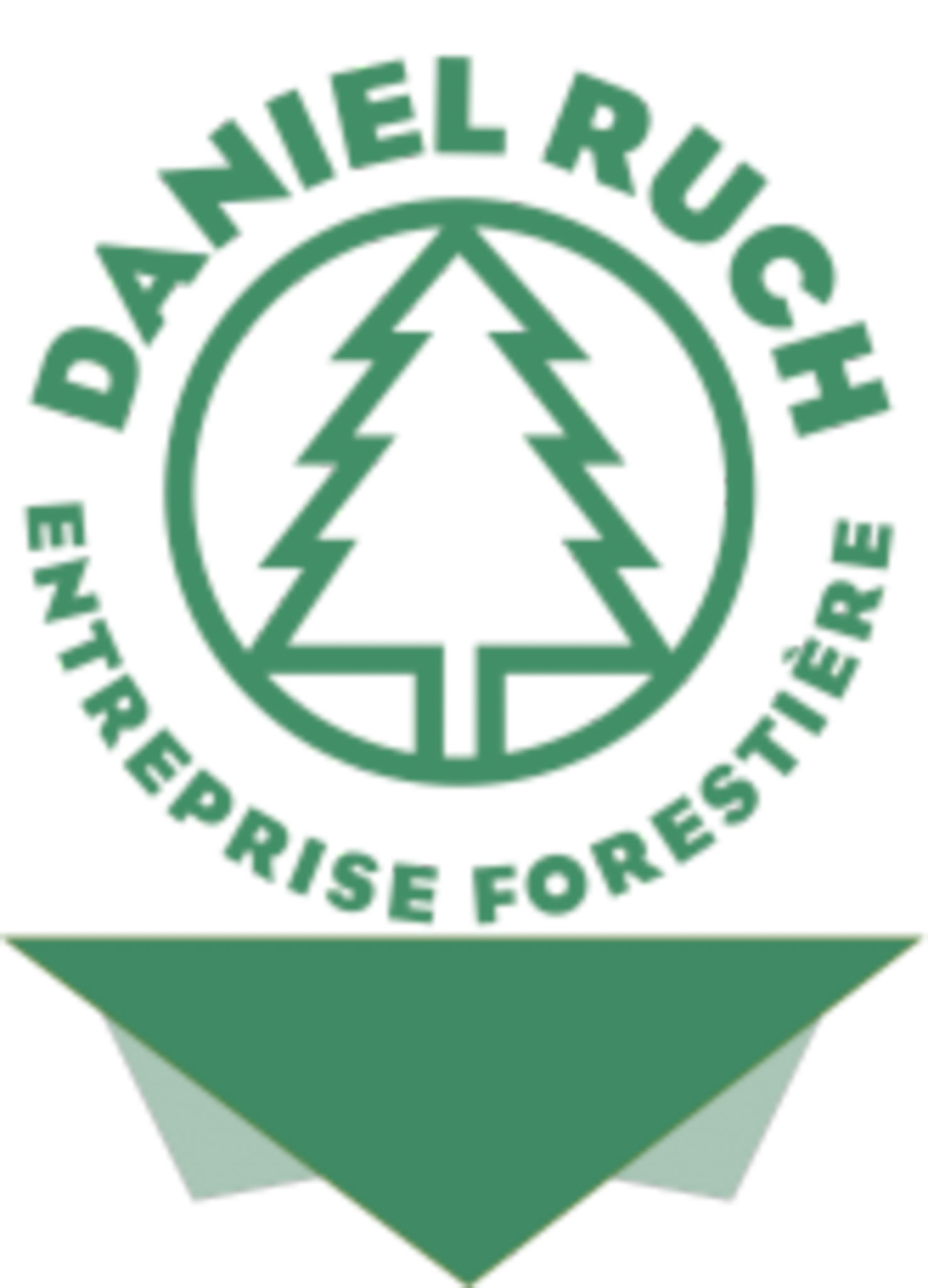 logo sponsor platine Daniel Ruch
