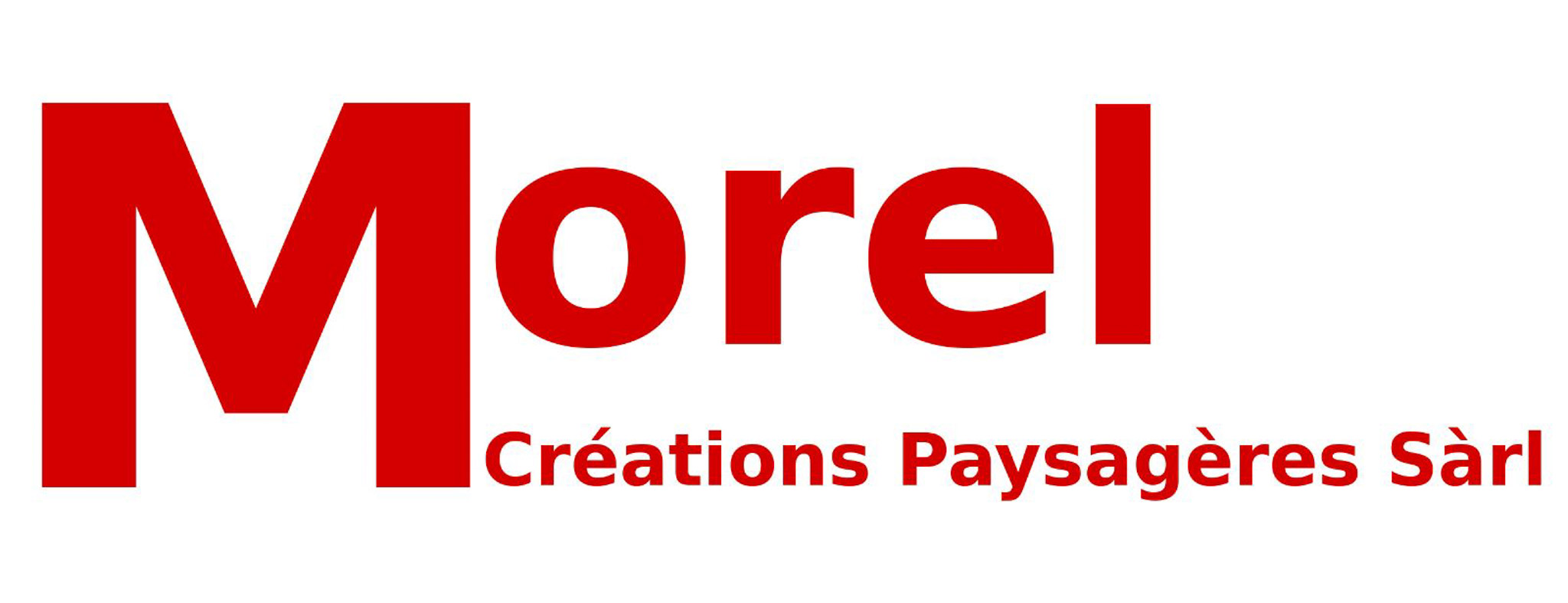 logo sponsor platine Morel